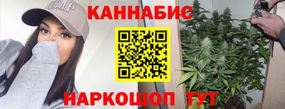 дмт Бийск