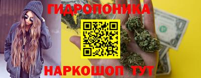 дмт Бийск