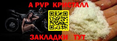дмт Бийск