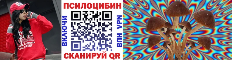 KRAKEN ТОР  Краснокамск  Галлюциногенные грибы Psilocybe 